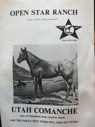 Picture of the original envelope for open star ranch in Sandy, Utah