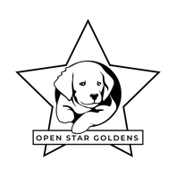 OPEN STAR GOLDENS